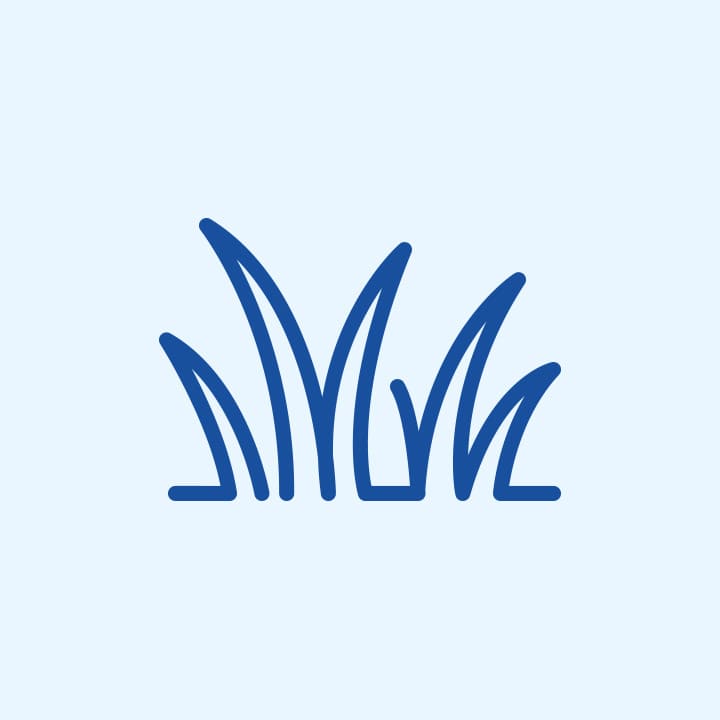草刈り作業