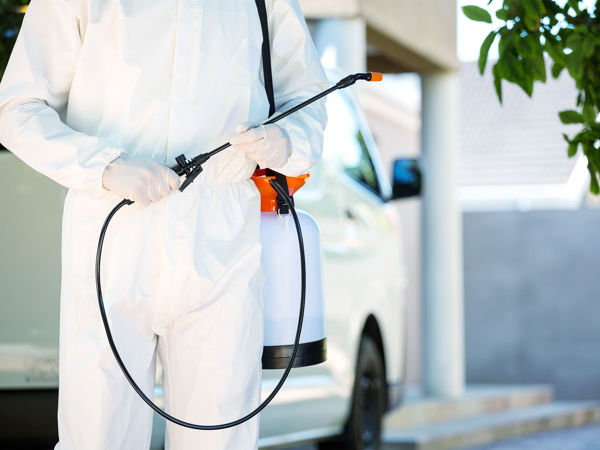 害虫駆除対策（シロアリ・蜂・ゴキブリ）